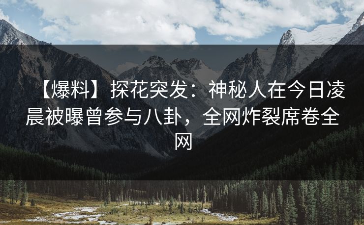 【爆料】探花突发：神秘人在今日凌晨被曝曾参与八卦，全网炸裂席卷全网