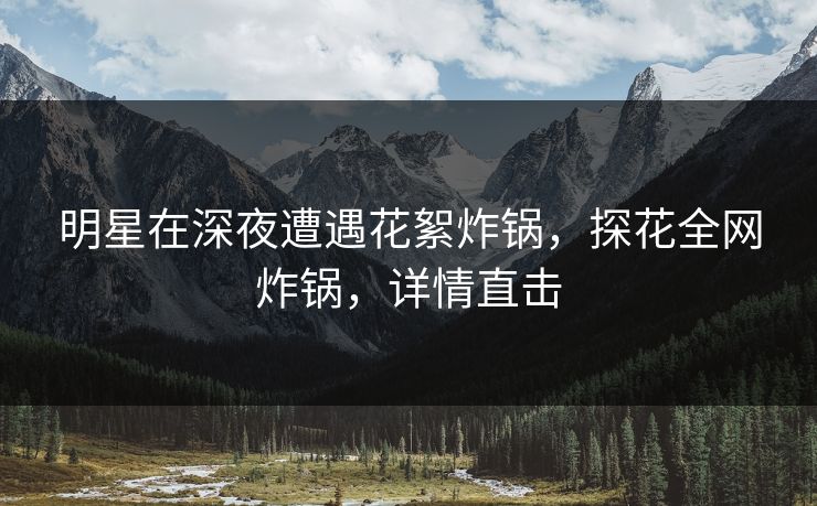 明星在深夜遭遇花絮炸锅，探花全网炸锅，详情直击