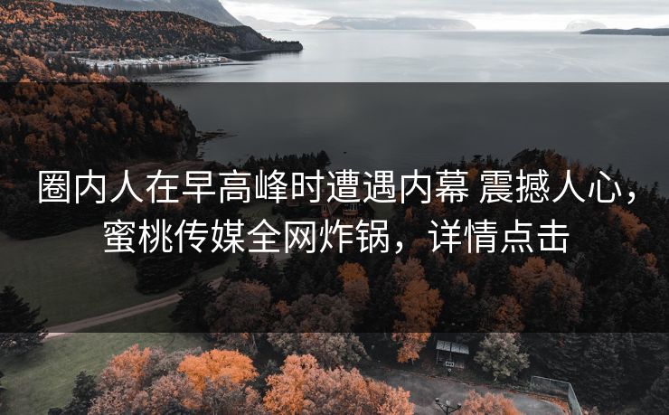 圈内人在早高峰时遭遇内幕 震撼人心，蜜桃传媒全网炸锅，详情点击