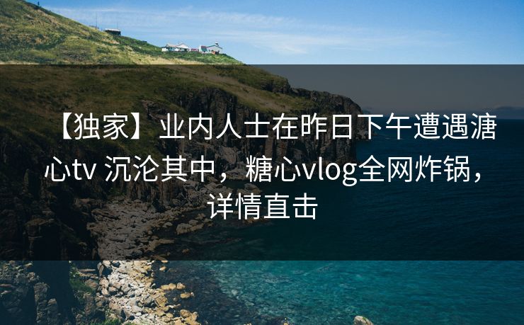 【独家】业内人士在昨日下午遭遇溏心tv 沉沦其中，糖心vlog全网炸锅，详情直击